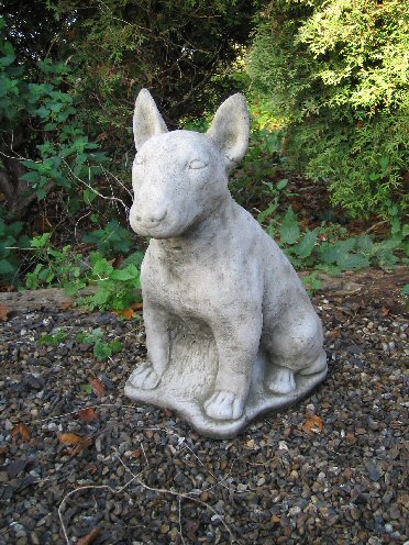 KA17 Bull Terrier KA17 Bull Terrier